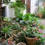 Lirma Bed & Breakfast