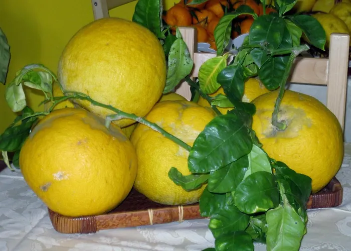 Bed and breakfast Lirma Cefalú