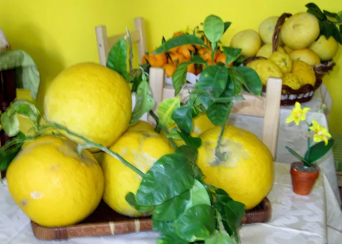 Lirma Bed and breakfast