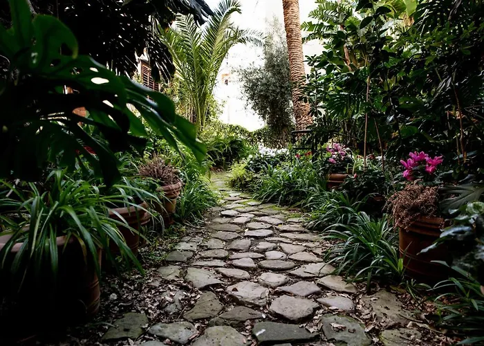 Bed and breakfast Lirma 4*