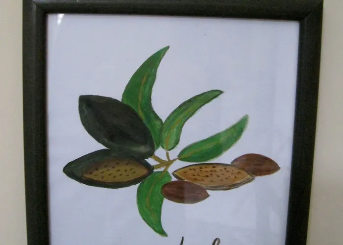 Lirma 4* צ'פאלו